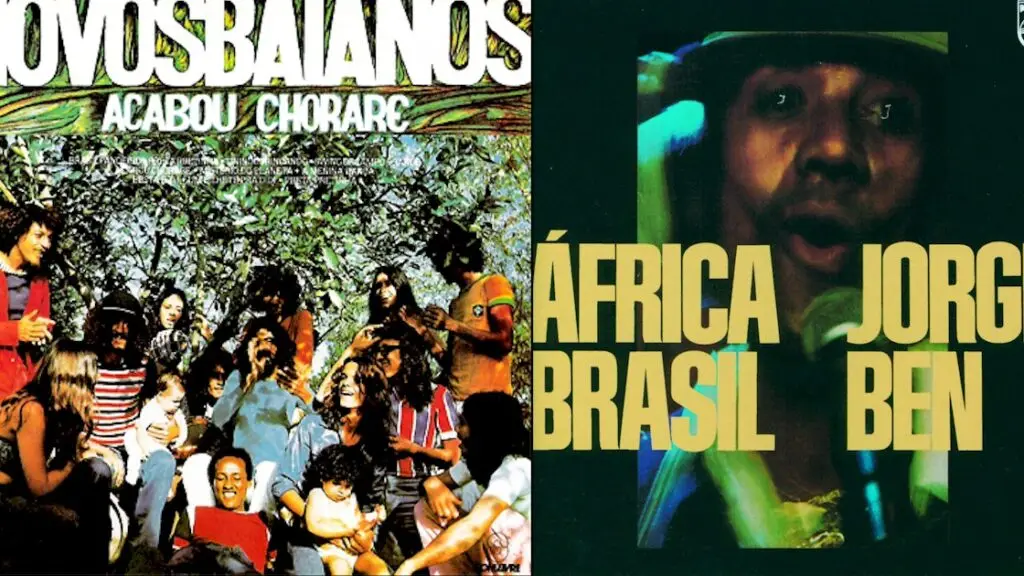 Qual a relação dos discos de vinil com a MPB?