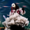 Björk anuncia 'Cornucopia: Live' em múltiplos formatos físicos