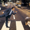 Paul McCartney relança 'Paul Is Live' em edição SHM-CD japonesa