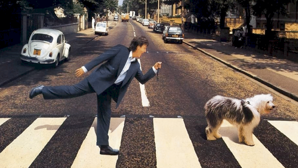 Paul McCartney relança 'Paul Is Live' em edição SHM-CD japonesa