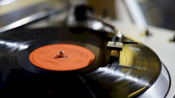 Feira de Vinil em Niterói traz raridades em mais de 800 títulos selecionados